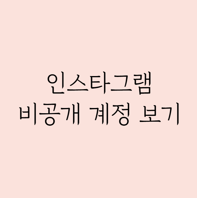 인스타그램 비공개 계정 게시물 몰래 보는 방법
