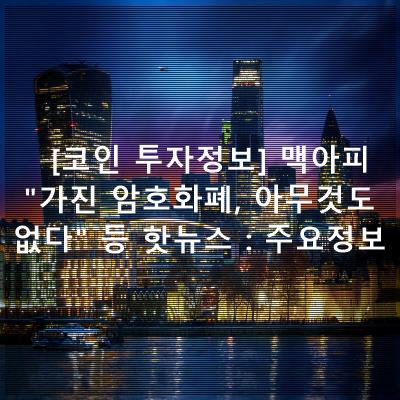 코인 투자정보 맥아피 "가진 암호화폐, 아무것도 없다" 등 ...