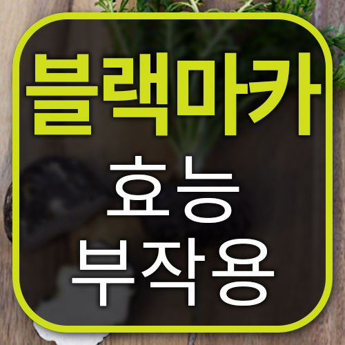 블랙마카 효능 남자들은 주목!