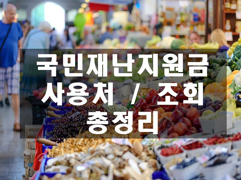 국민 재난 지원금 사용처 및 조회 총정리(5차, 상생 국민지원금, 하나로마트, 포인트)