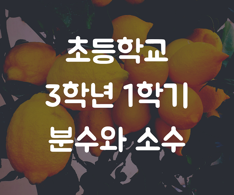 [초등수학] 3학년 1학기 '분수와 소수' 평가문제 모음