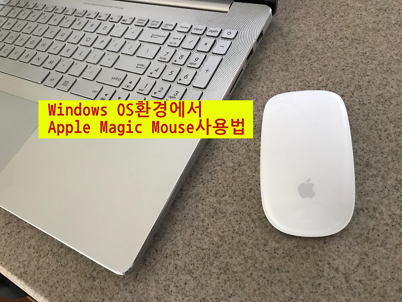 Windows OS환경에서 Apple Magic Mouse 사용하는 방법