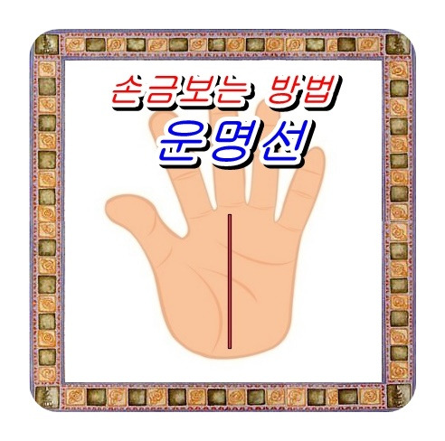 손금의 운명선이란? :: 꿈해몽ㅡ무료꿈풀이