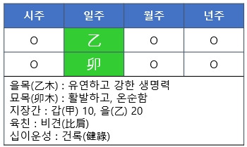 [사주명리] 을묘일주(乙卯日柱)