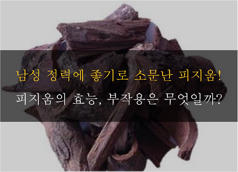 피지움 : 아프리카에서 온 피지움의 효능, 부작용 등 총 정리!