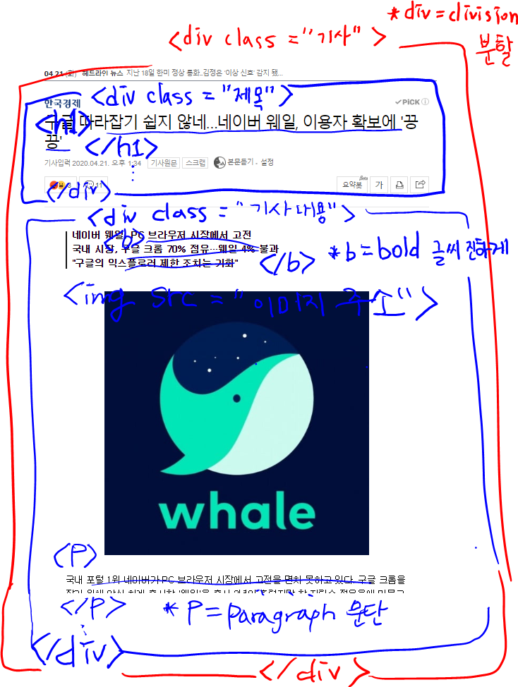 코딩 독학하기1 : HTML 기본개념 정리 (조코딩 유튜브로 공부하기)