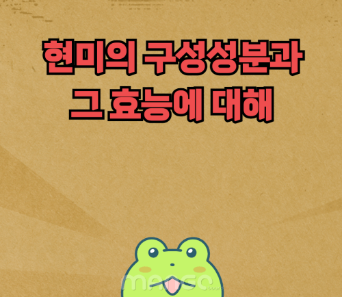 현미의 구성성분 및 효능에 대해 :: 현미 먹으면 좋은 이유