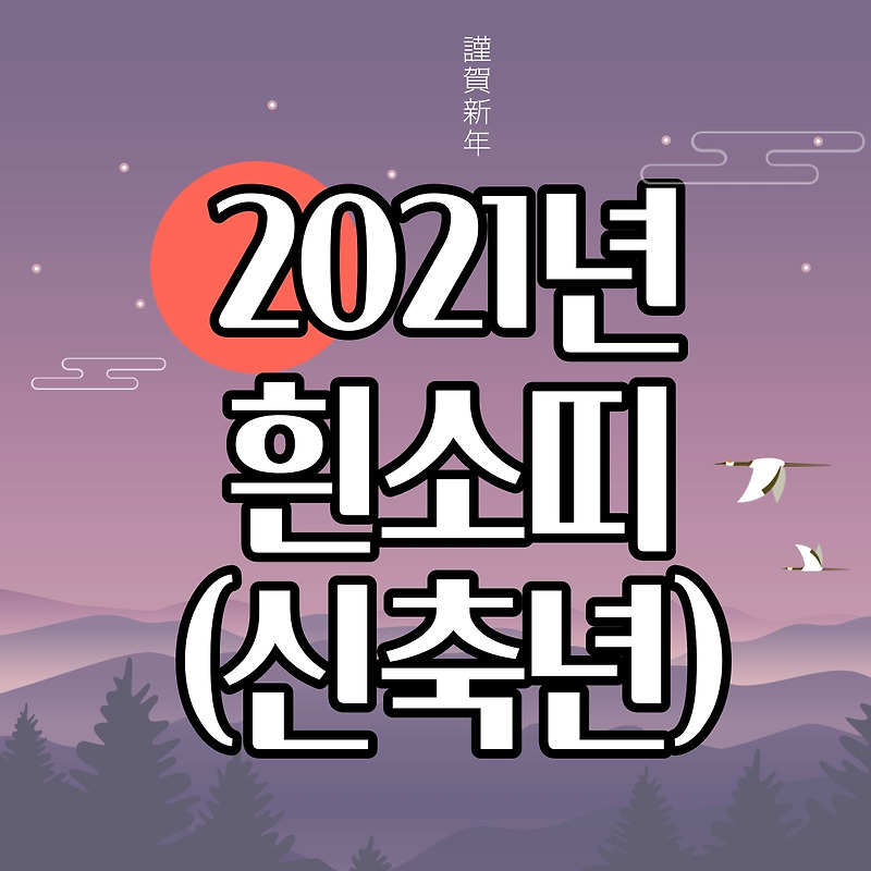 2021년 띠 흰소띠의 모든 정보 :: 금융 복지 다모아