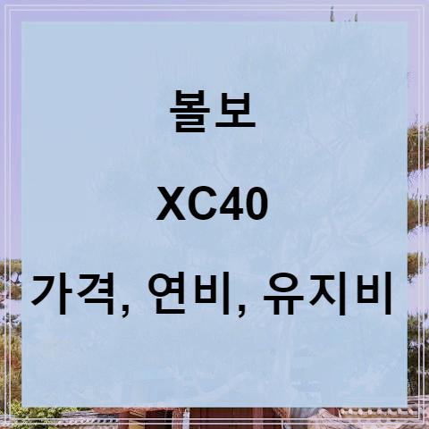 볼보 XC40 가격, 연비, 세금 알아보기