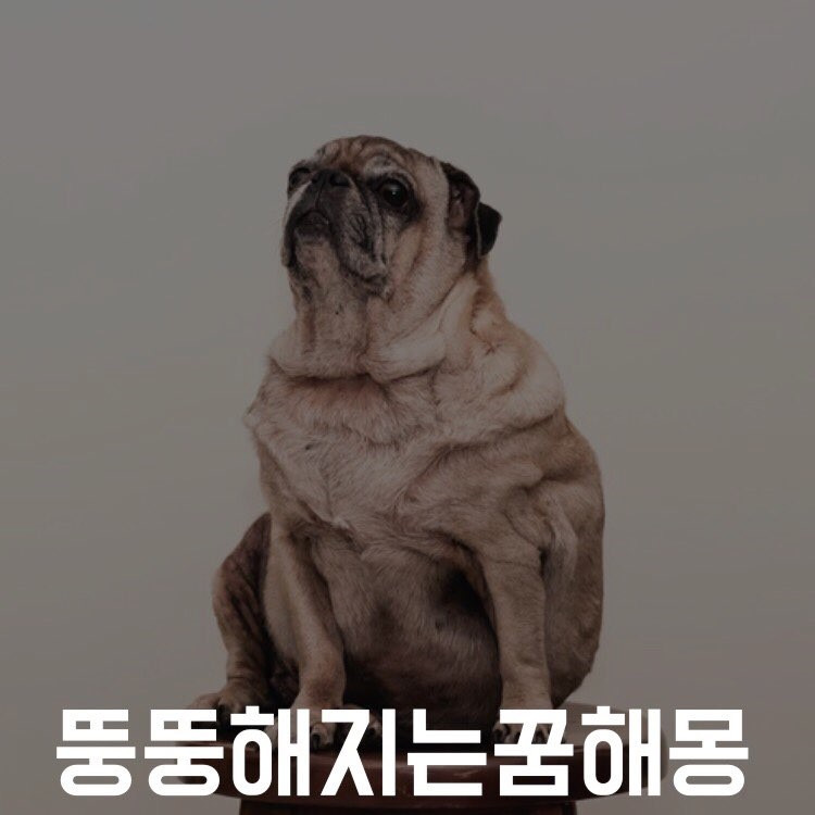 뚱뚱해지는 꿈, 살 빠지는 꿈 해몽 풀이