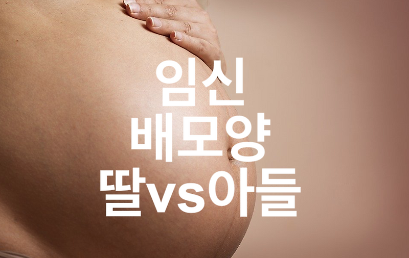 임신 배모양 딸배 VS 아들배 어떻게 다를까?
