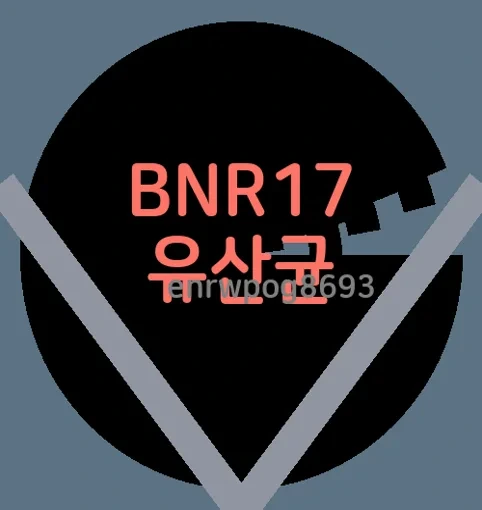 비에날씬 BNR17 유산균 추천 효능 분말 성분