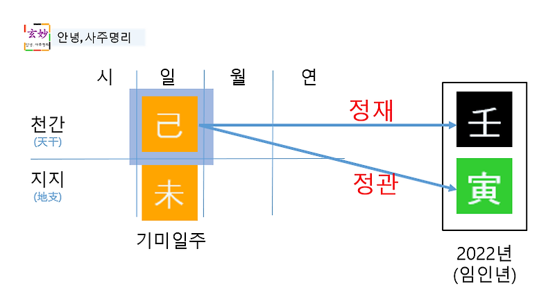 2022년 임인년 운세(기미일주)