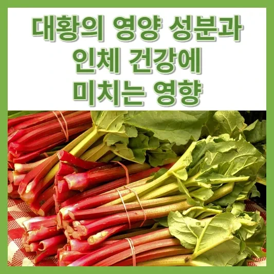 대황(루바브)의 영양 성분과 인체 건강에 미치는 영향