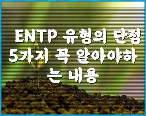 ENTP 유형의 단점 5가지 꼭 알아야하는 내용