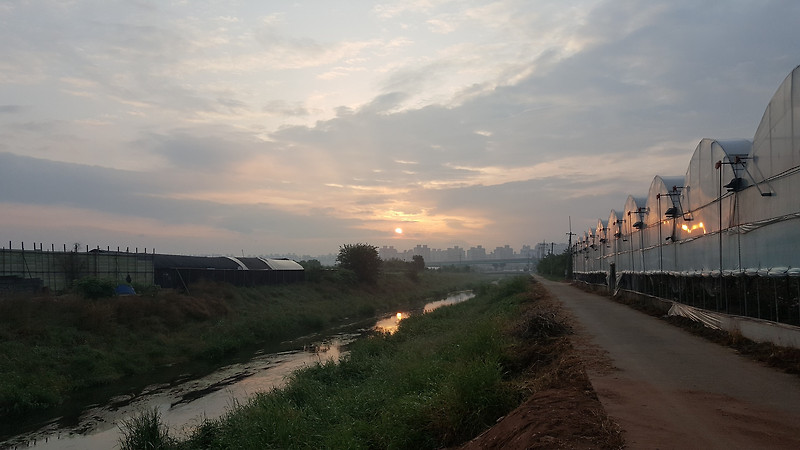 새벽 길 :: 사 람