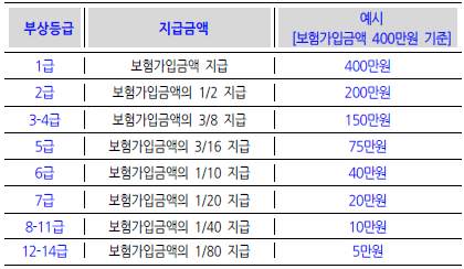 약관해설2006] 자동차부상치료비II 특별약관 정의화 해설 - 파이어족 메모장인 & 봄이네가족