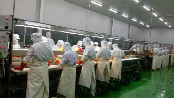 food-factory-male-and-female-00-people-2-8-million-g1-55-years-old