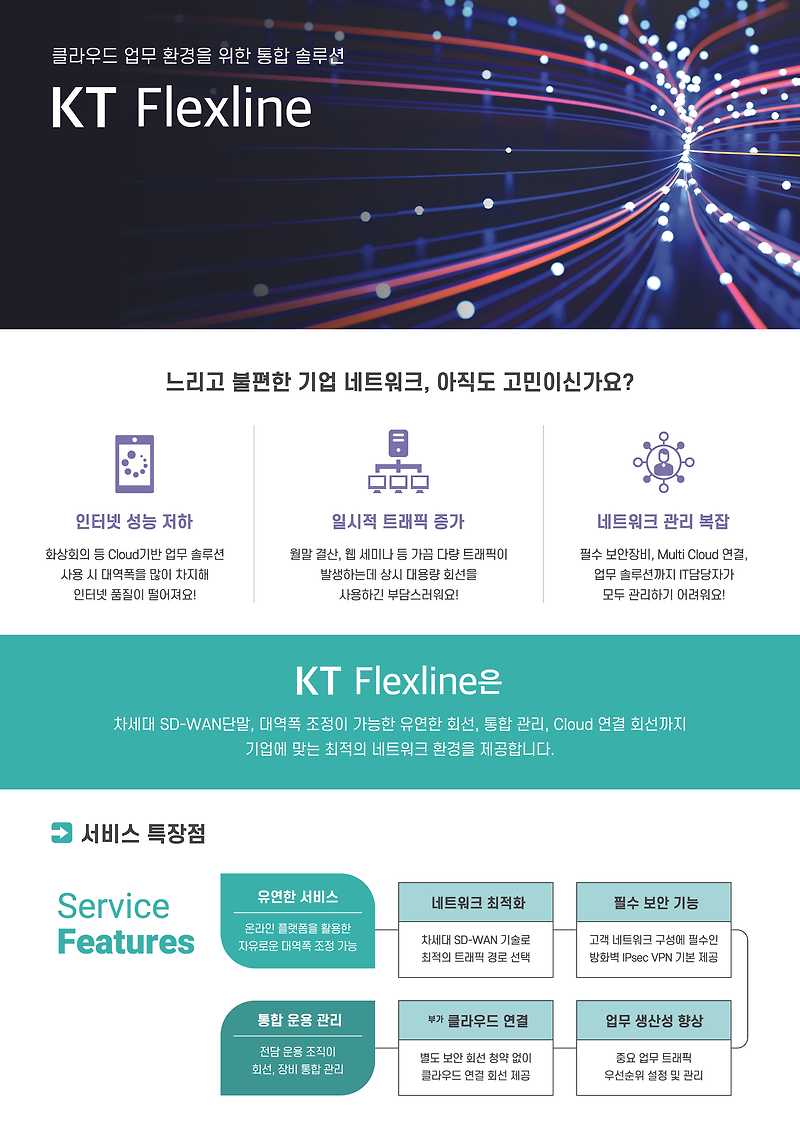 KT Flexline 브로슈어