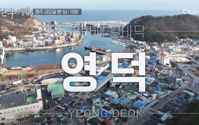 <b>전현무계획2</b> 20화 안동 마늘갈비 영덕 미주구리찌개... 