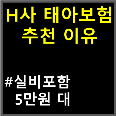 현대해상 태아보험 경품 인기 이유! 10