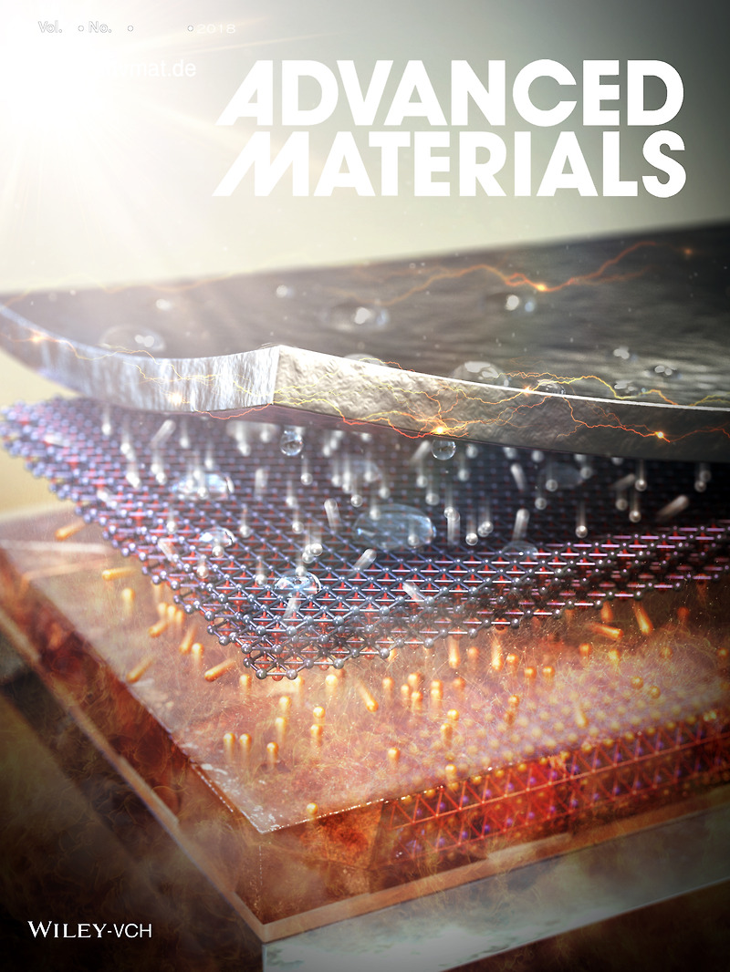 ADVANCED MATERIALS/ 논문커버피겨/커버이미지/논문표지/Figure/저널커버/논문그림/논문삽화/저널표지/논문커버 ...