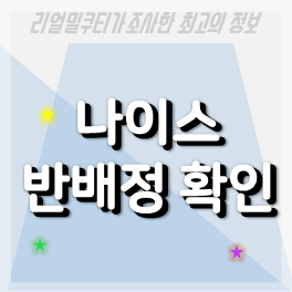 나이스 반배정 확인 하는 방법 생활기록부 조회