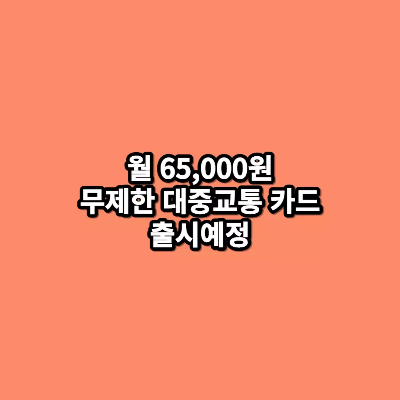 월 65,000원 무제한 대중교통 카드 출시예정