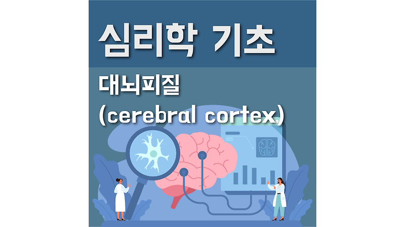 [심리학 기초] 11_행동의 생물학적 기초 : 대뇌피질 (cerebral cortex)
