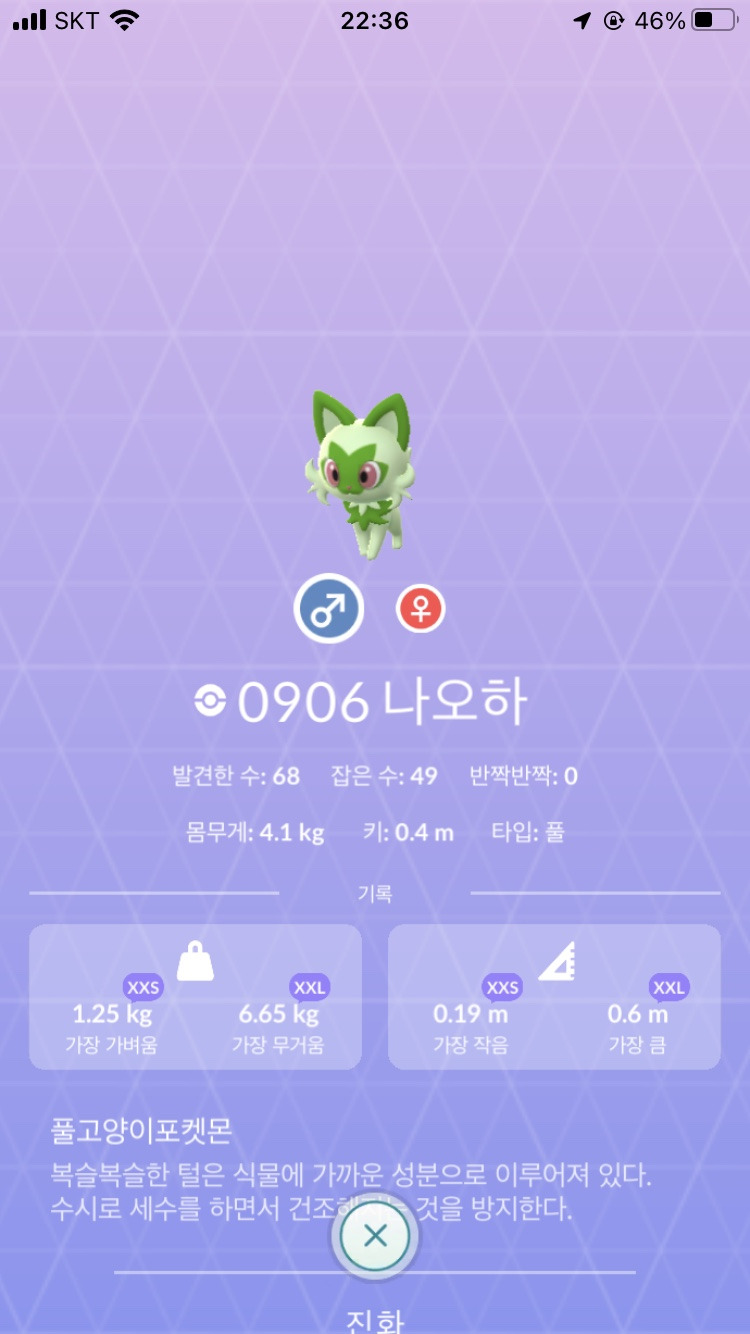 [포켓몬고 진화] 나오하 - 나로테 - 마스카나
