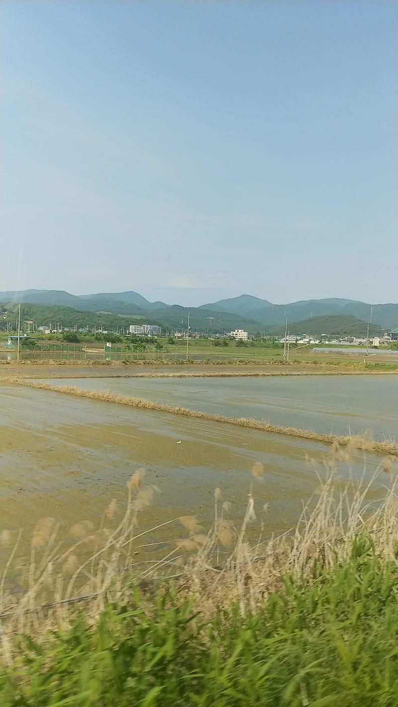 논