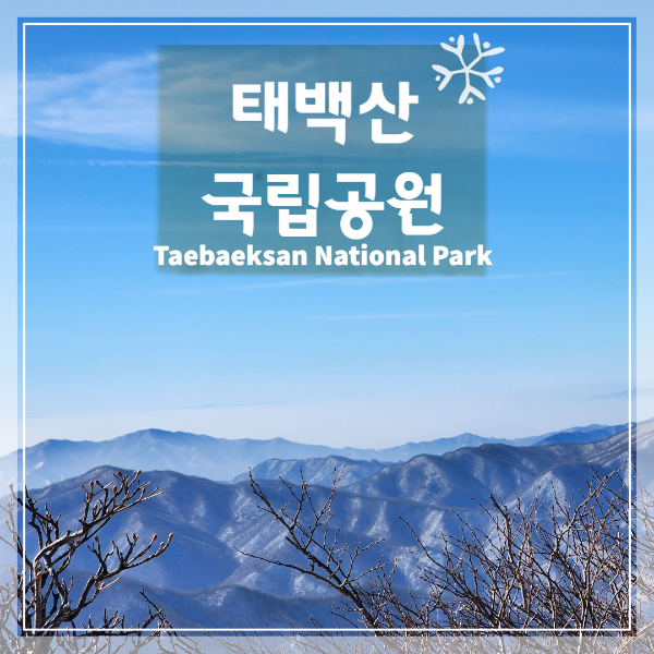 태백산 국립공원 탐방기
