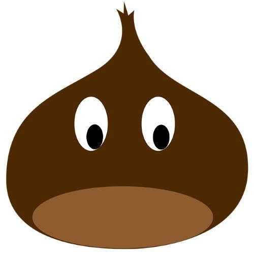 밤 줍는 꿈해몽 30가지