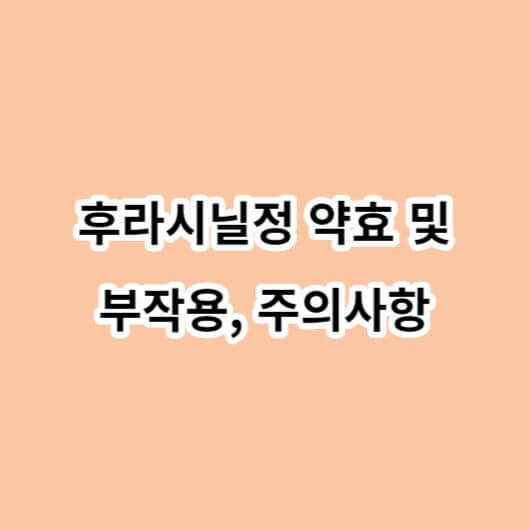 후라시닐정 약효 및 부작용, 주의사항 :: 의약품 톡톡 마스터 클래스