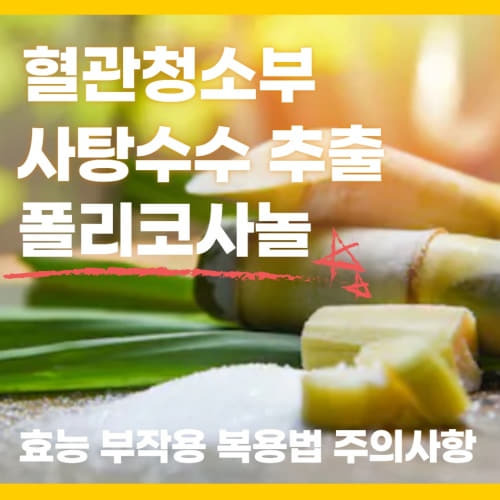 사탕수수 추출 쿠바산 폴리코사놀 효능 부작용 복용방법 알아보기 3