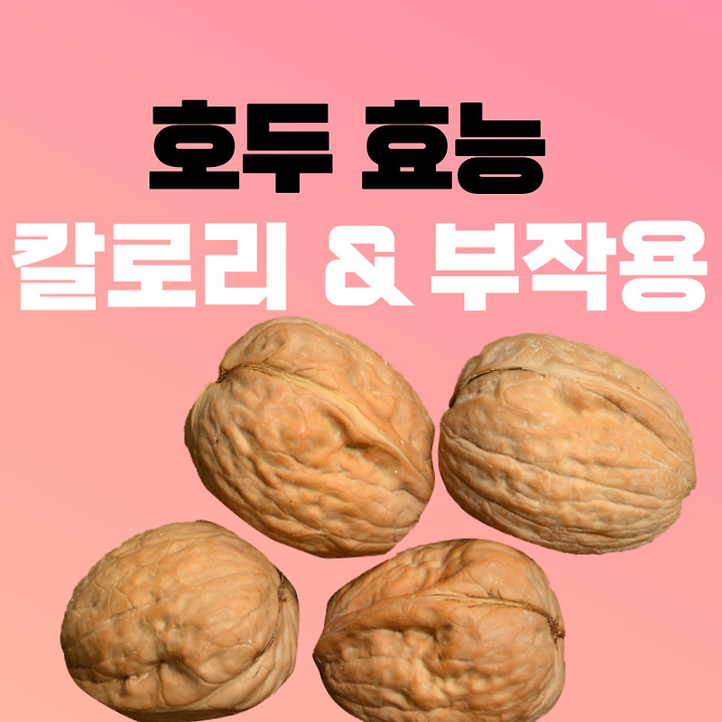 호두 효능 10가지 칼로리 부작용 알고먹어요!