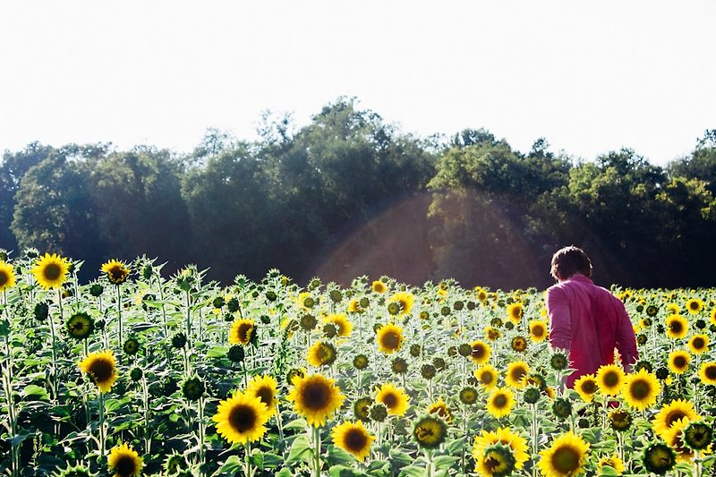 #DiscoverMaryland: Unveiling the Hidden Gems of the Old Line State ...