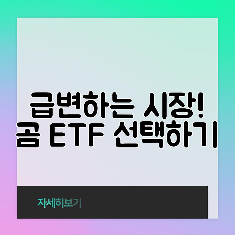  etf 