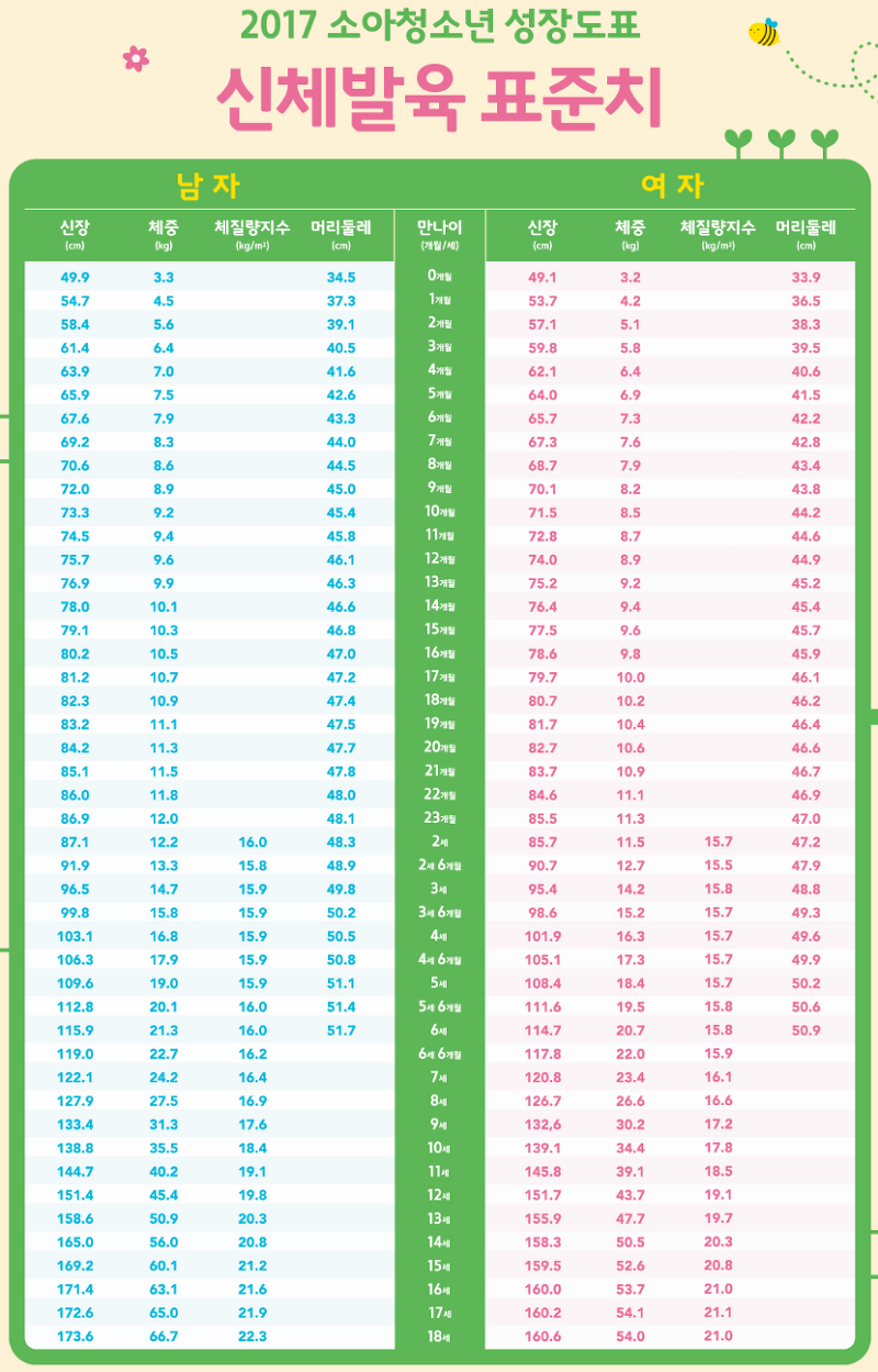 아기 개월별 표준(평균) 몸무게 와 키 - 파이어족 메모장인 & 봄이네가족