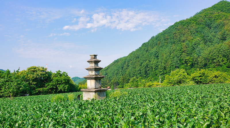 횡성 신대리 삼층석탑 / 화순 한산사지 삼층석탑