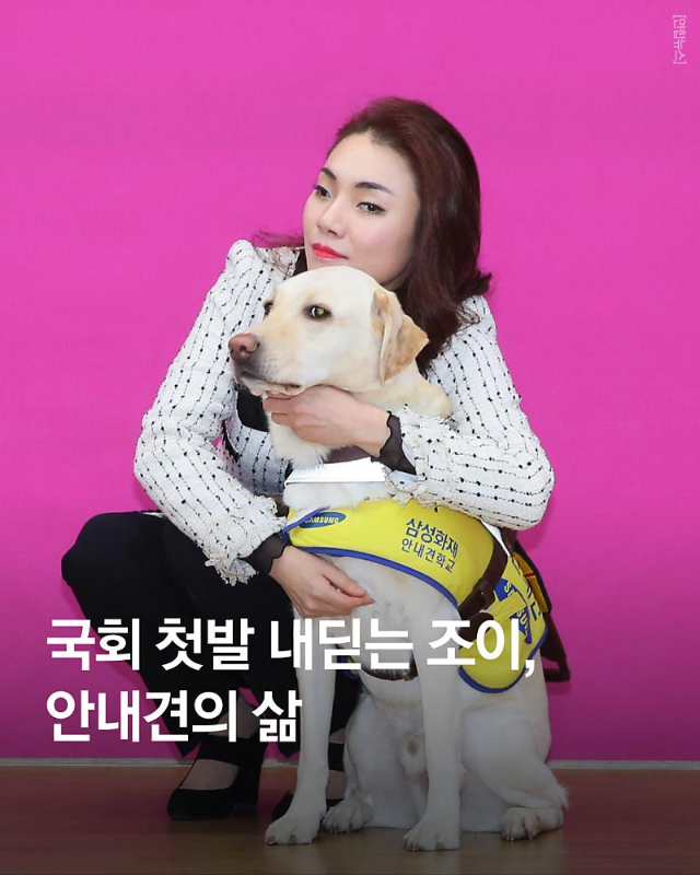 <b>한동훈 비대위</b> 11명 김예지·민경우·김경율 등 합류