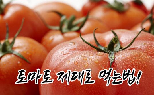 토마토 효능 토마토 제대로 먹는법!