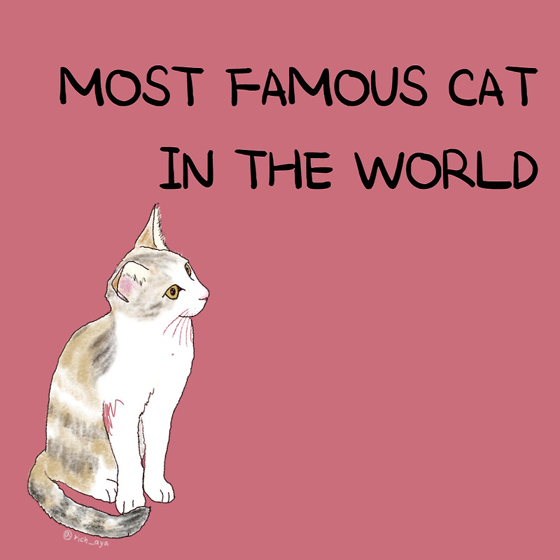 most-famous-cat-in-the-world