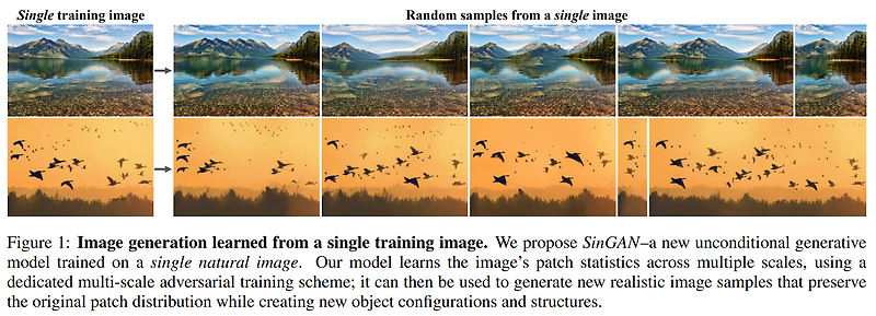 SinGAN: Learning a Generative Model from a Single Natural Image, 2019