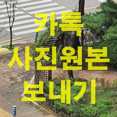 카카오톡(카톡) 사진 원본 보내기, 동영상 원본으로 전송하는 방법