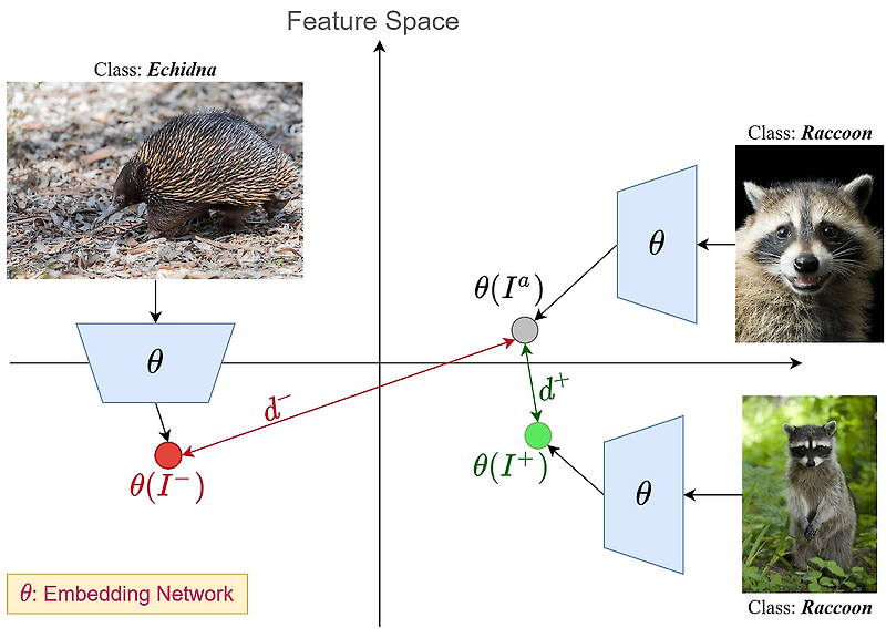 Contrastive Learning