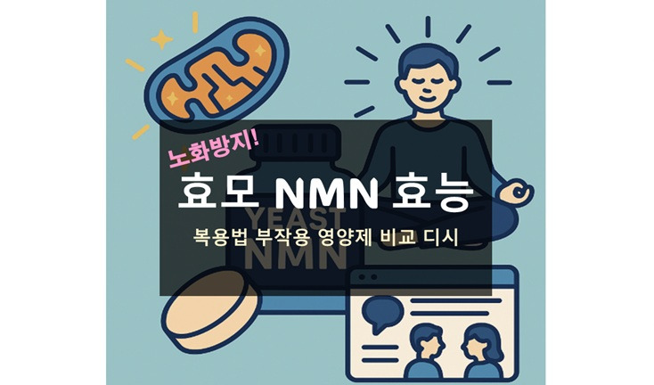 효모 NMN 효능 노화방지 복용법 부작용 영양제 비교 디시