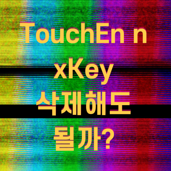 TouchEn nxKey가 무엇일까? 삭제해도 될까?