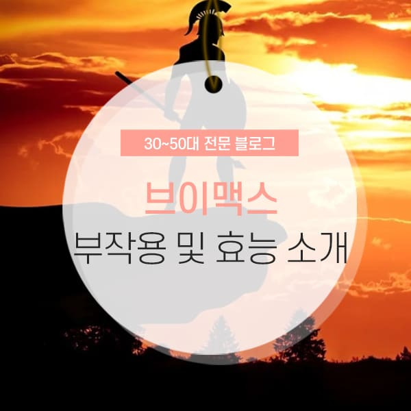 브이맥스 부작용 및 효능 완벽정리