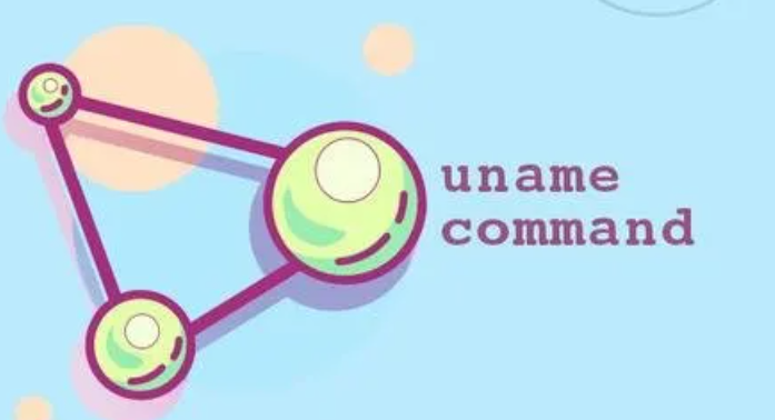 Linux : Uname 명령어, 예제, 사용 방법